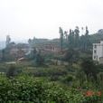 小土官村 小土官村