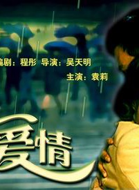 龔蓓苾 龔蓓苾