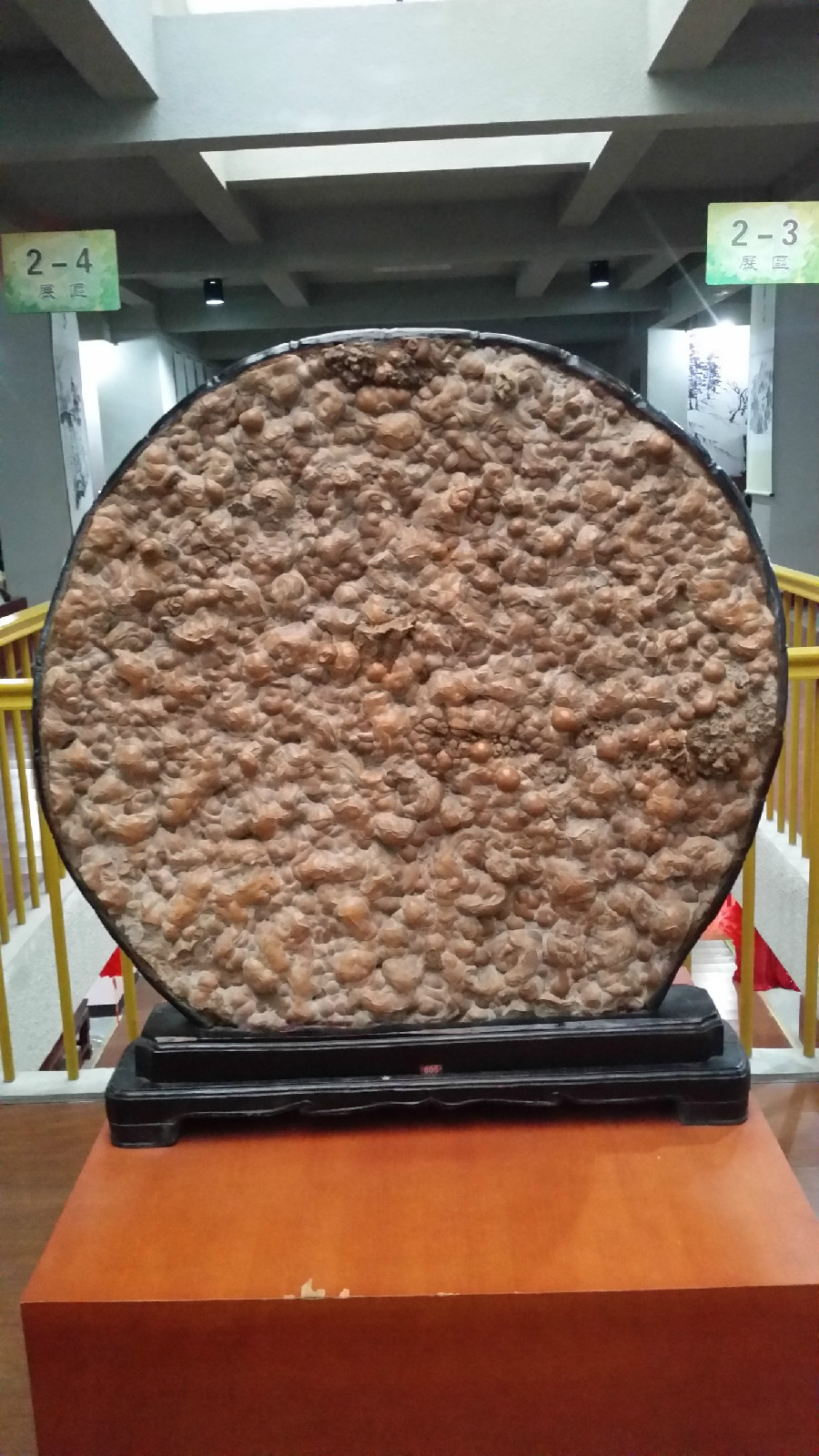 棲霞市地質文化奇石博物館
