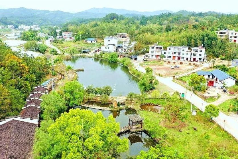 南坑村(福建省龍巖市長汀縣策武鎮南坑村)