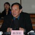 楊國楨(中科院院士、光物理學家) 楊國楨(中科院院士、光物理學家)