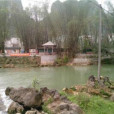 蘇僅村
