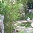 迷月苑 迷月苑
