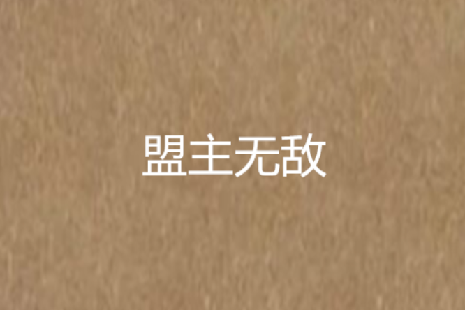 盟主無敵 盟主無敵