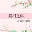 真相是你 真相是你