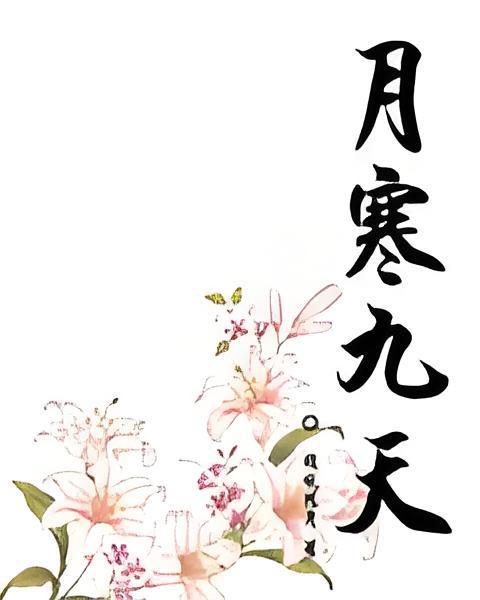 月寒九天 月寒九天
