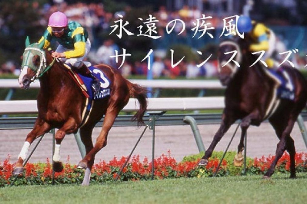 無聲鈴鹿(1994年出生的日本賽馬) 無聲鈴鹿(1994年出生的日本賽馬)