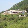 青羊廠村 青羊廠村