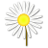採摘雛菊