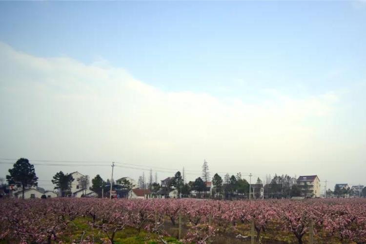 柳洲公園