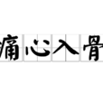痛心入骨 痛心入骨