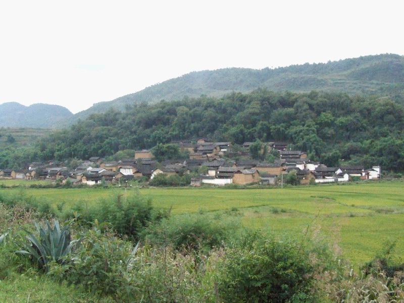 打坪村 打坪村