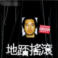 盲毛 盲毛