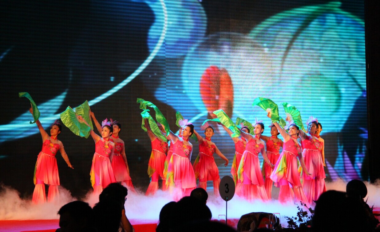 荷塘月色(2010年央視大型舞蹈)
