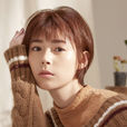 盧杉(內地女演員) 盧杉(內地女演員)