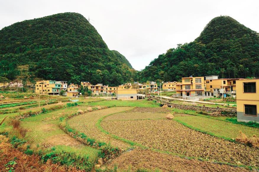 威旁村 威旁村