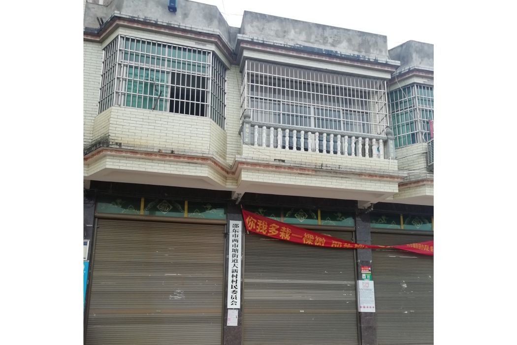 大新村(湖南省邵東市兩市塘街道下轄村) 大新村(湖南省邵東市兩市塘街道下轄村)