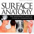 Surface Anatomy Surface Anatomy