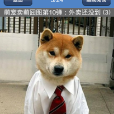萌寵賣萌 萌寵賣萌