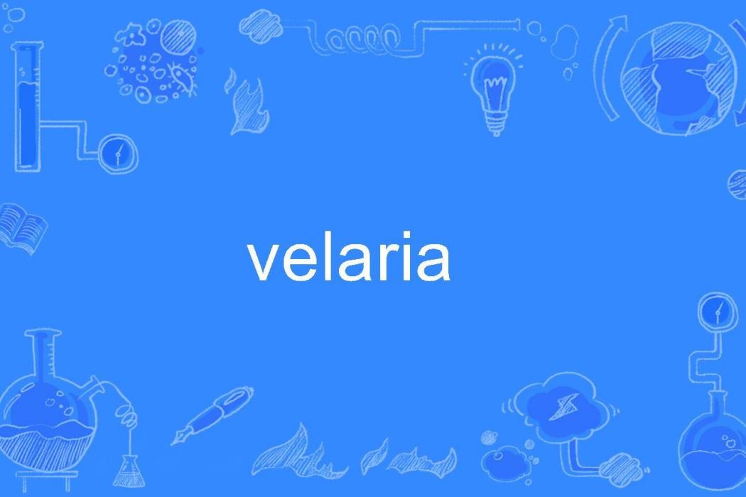 velaria velaria