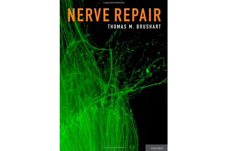 Nerve Repair Nerve Repair