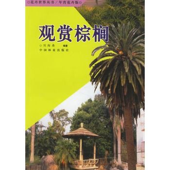 觀賞棕櫚 觀賞棕櫚