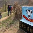 寵物墓園 寵物墓園