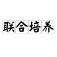 聯合培養 聯合培養