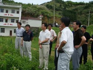 張小青到北浴鄉調研新農村建設