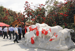 百里杜鵑風景名勝區(國家5A級旅遊景區)