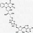 黃素腺嘌呤二核苷酸(fad) 黃素腺嘌呤二核苷酸(fad)