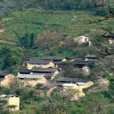 脫皮樹村