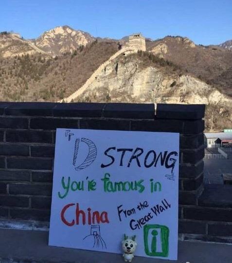 D-STRONG D-STRONG