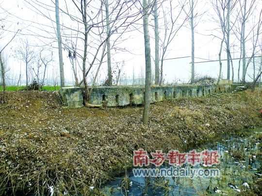 河池村 河池村