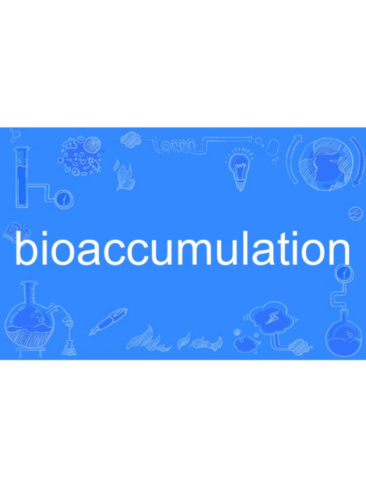 bioaccumulation bioaccumulation