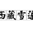 西藏雪蓮 西藏雪蓮