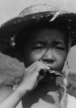 陷阱(日本1962年敕使河原宏導演電影)