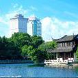 月湖(湖北省武漢市月湖)