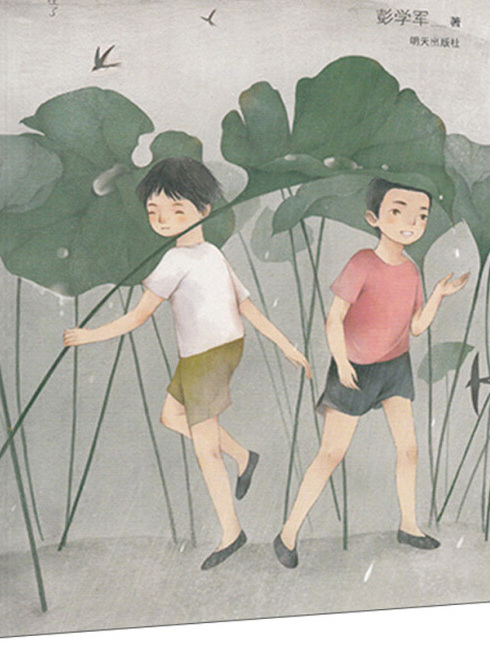 男孩的雨 男孩的雨