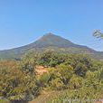 鳳山村(福建漳州龍海市東園鎮下轄村)