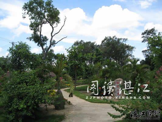 排承村 排承村