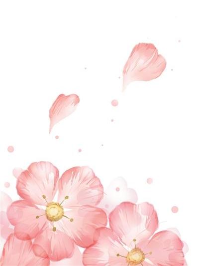 映面桃花 映面桃花