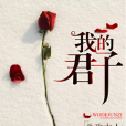 我的君子 我的君子