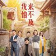 我怕來不及(2018年拍攝電視劇) 我怕來不及(2018年拍攝電視劇)