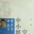 空中小姐(王朔中篇小說)