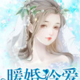 暖婚冷愛 暖婚冷愛