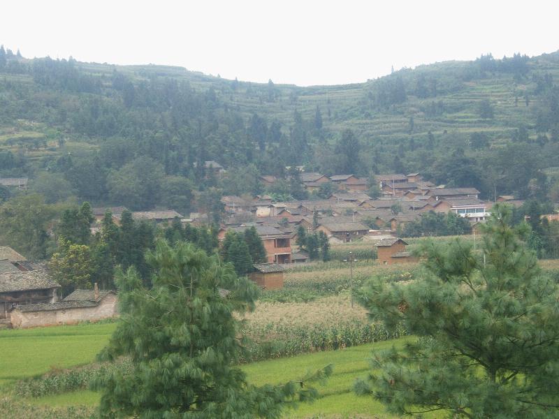 塢白村 塢白村