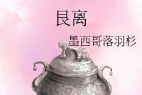 艮離 艮離