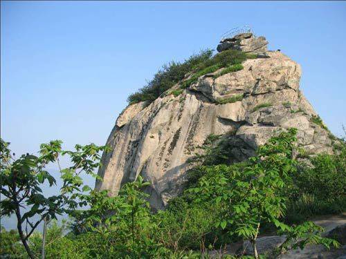 田心山 田心山