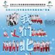 我們北京見(群星獻唱的北京冬奧歌曲) 我們北京見(群星獻唱的北京冬奧歌曲)